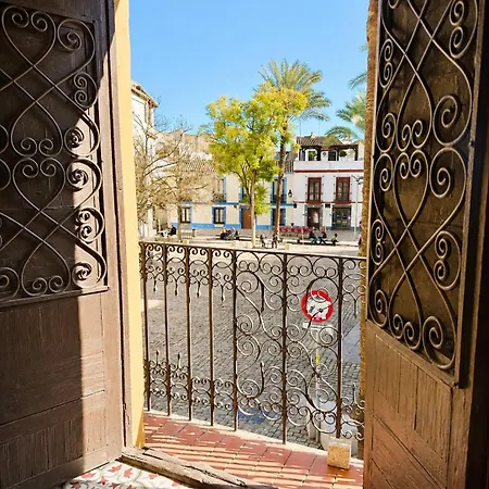 Tradicion De La Corredera * Cordoba