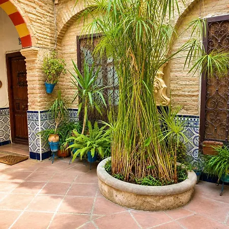 Tradicion De La Corredera Apartment Cordoba