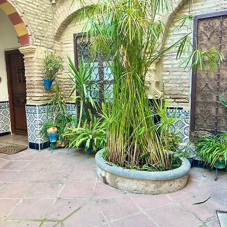 De Estilo Tradicional Cordobés En Plaza De La Corredera Córdoba