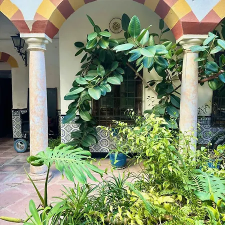 Apartamento De Estilo Tradicional Cordobés En Plaza De La Corredera