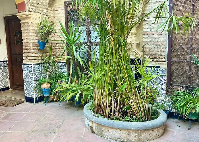 De Estilo Tradicional Cordobés En Plaza De La Corredera Córdoba